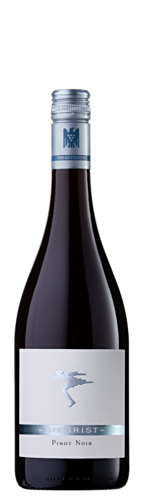 2024 Pinot Noir / Weingut Siegrist GdbR / Leinsweiler/Südpfalz | &copy; Weingut Siegrist GdbR