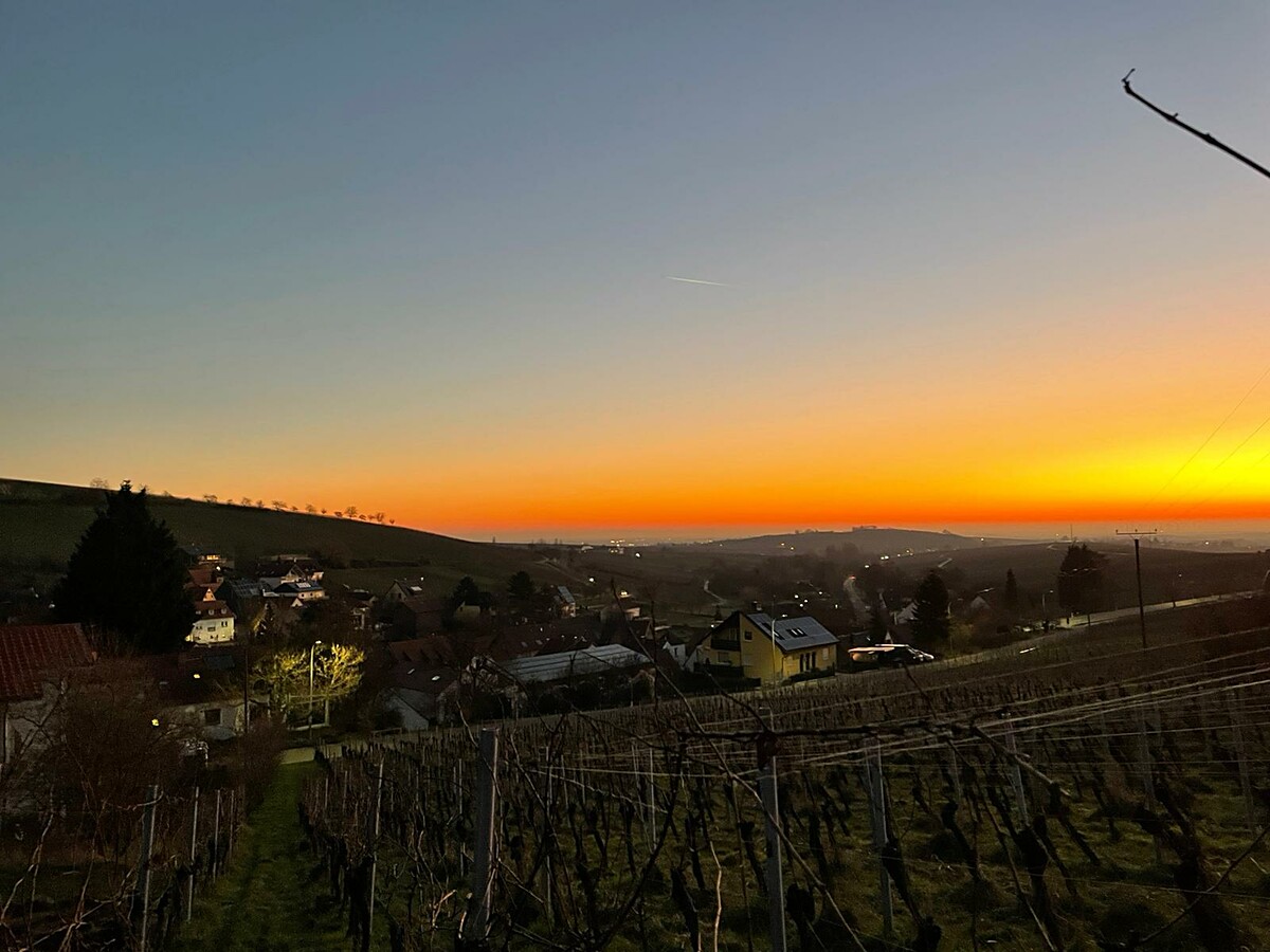 Sonnenaufgang | © Weingut Siegrist GdbR